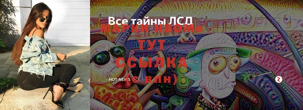 ПСИЛОЦИБИНОВЫЕ ГРИБЫ Вязники